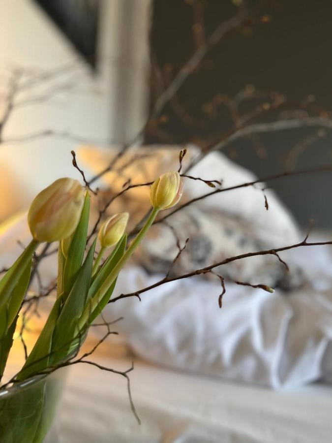 Froejel Resort & Spa Екстериор снимка