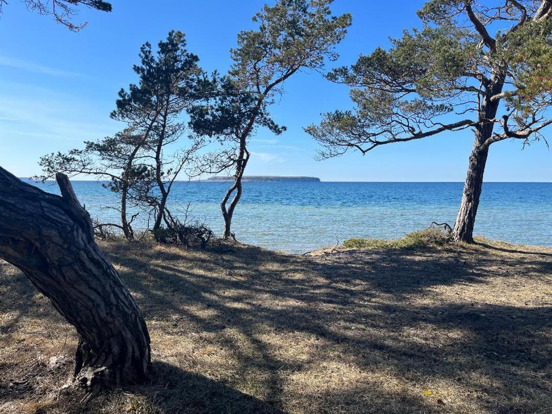 Froejel Resort & Spa Екстериор снимка